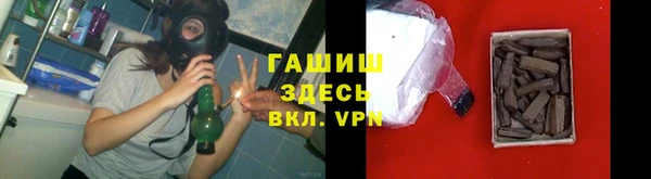 стафф Алексин