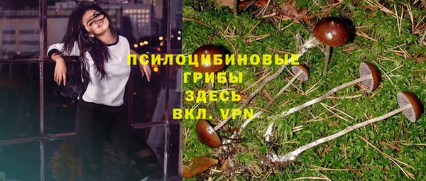 спайс Алексеевка